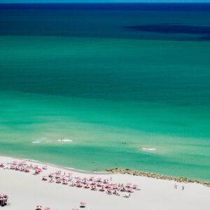 Miami Blues
