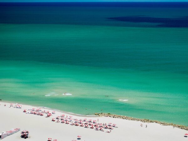 Miami Blues